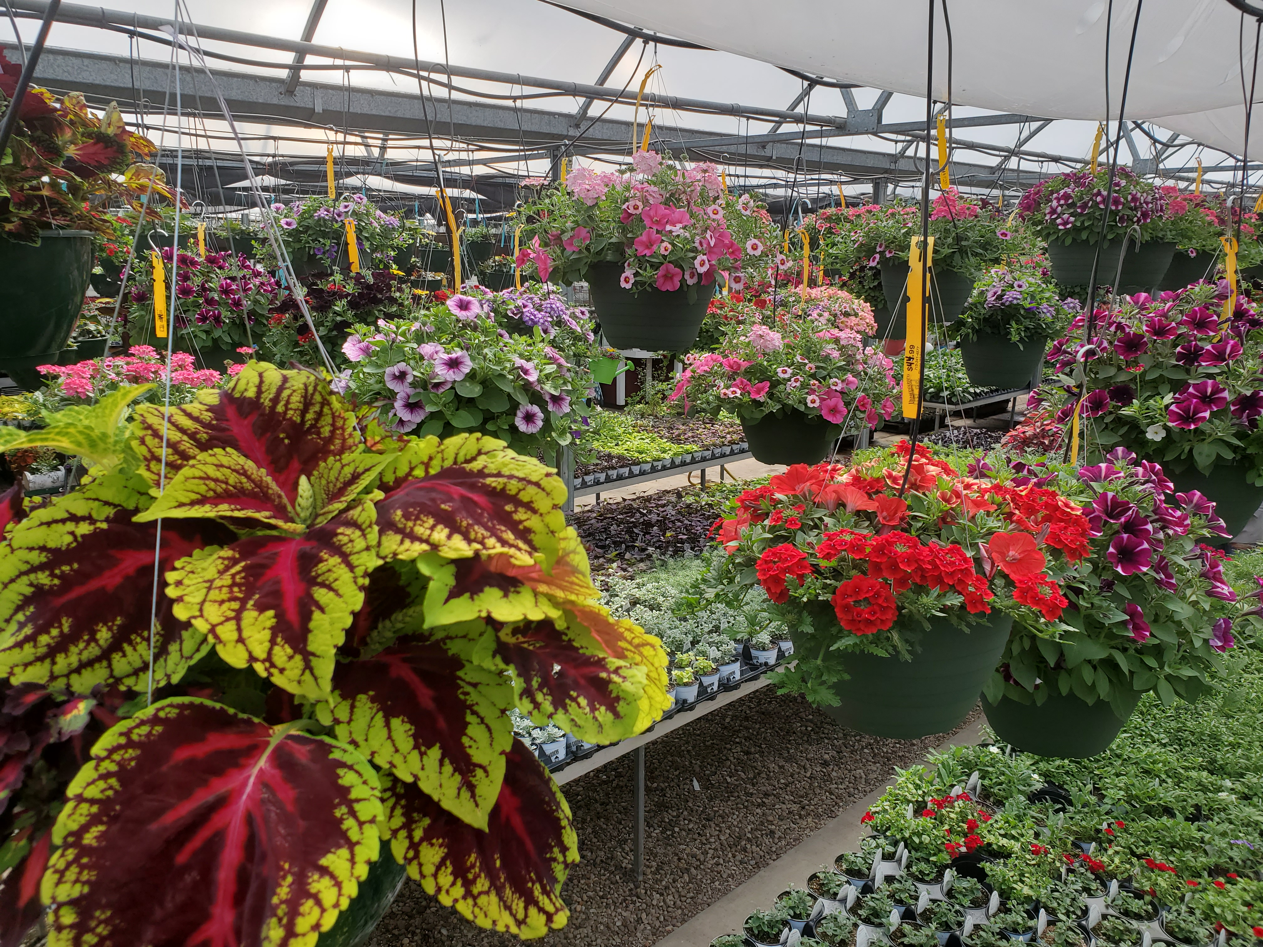 Bird eyes view of baskets